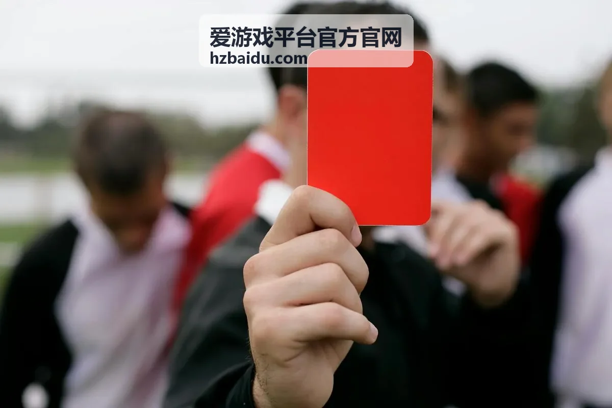 爱游戏平台官方官网会员礼包领取说明封面